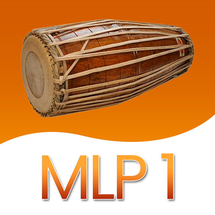 MLP1