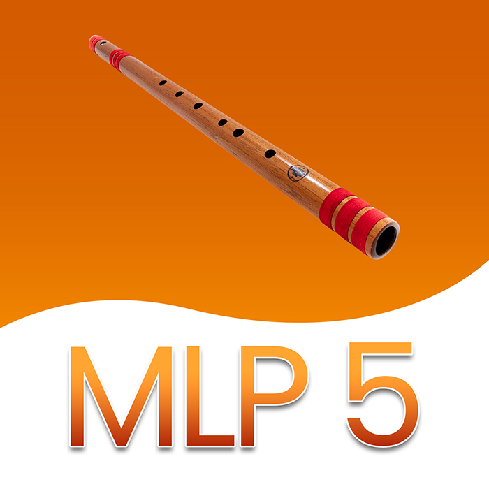 MLP5