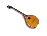 Mandolin