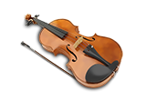 Violin