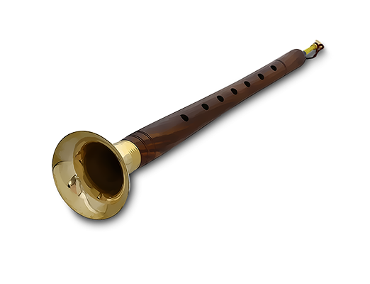 Shehnai