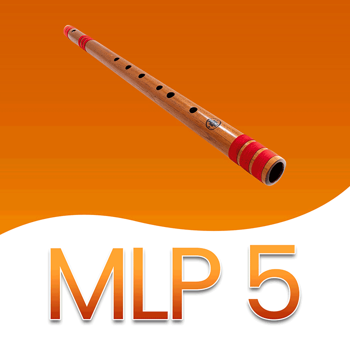 SwarPlug 4 ML Pack 5 Upgrade